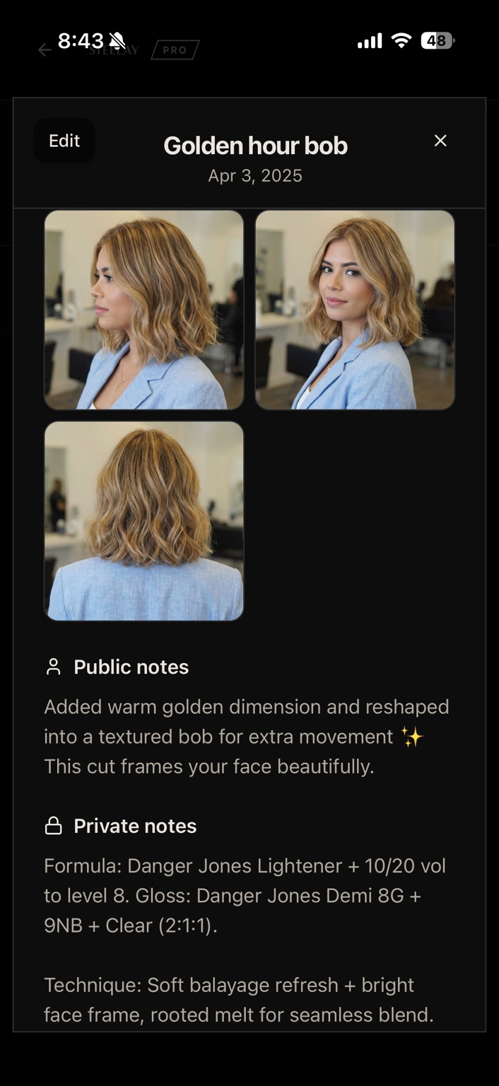 Steelay Pro — shared notes, private notes, salon record